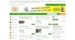 Desktop Screenshot of ofertypromocje.pl