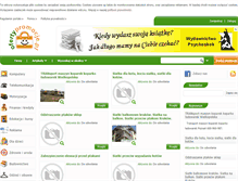 Tablet Screenshot of ofertypromocje.pl